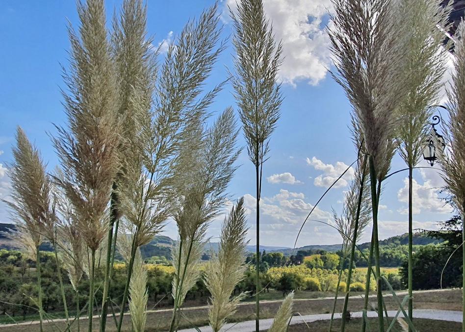 Domaine Lapeze Apartment Montcuq Luaran gambar